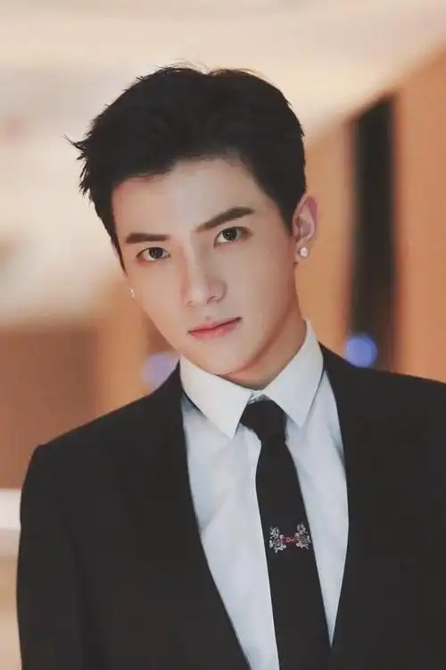 大陆十大最帅男星(美男子产地还要看四川)(29)