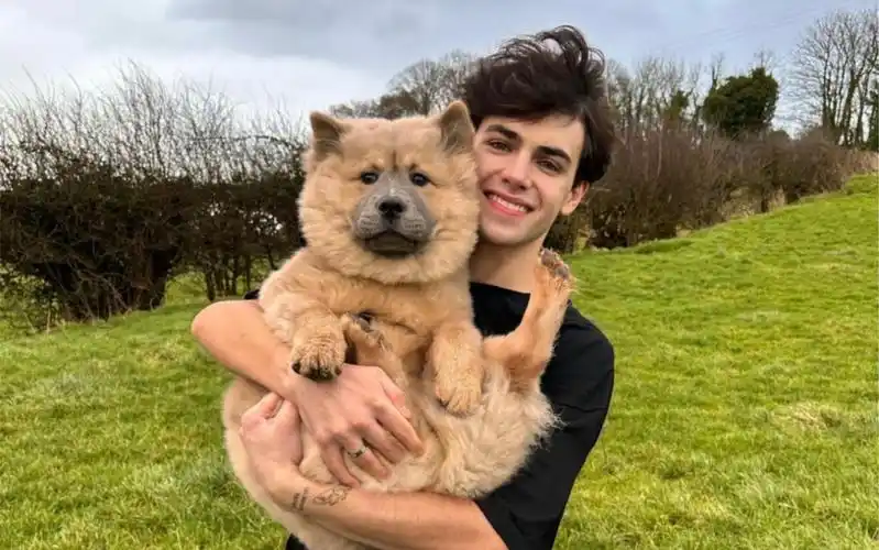 tiktok英国网红帅哥 kyle thomas