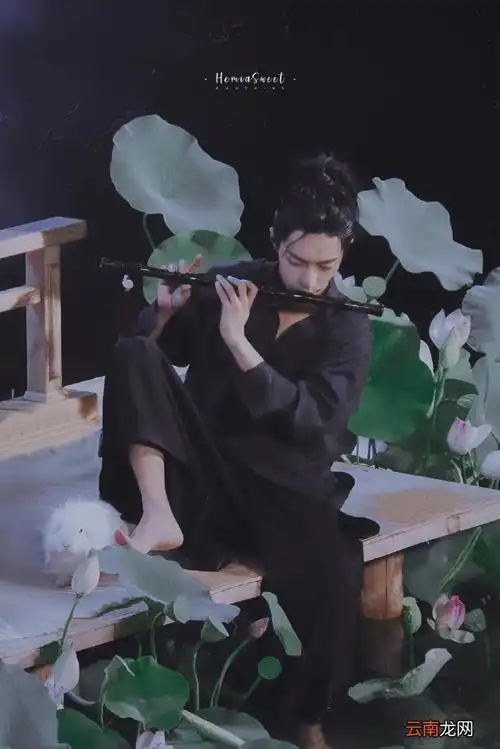 肖战时尚芭莎杂志图片,#肖战时尚芭莎杂志#荷塘映月色