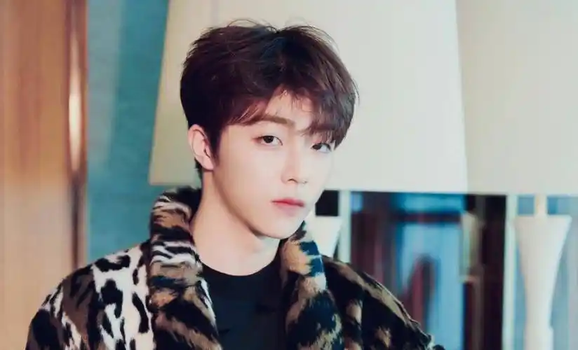 陈立农给我的第一眼的感觉就是很清新,但是,更多