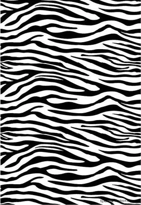 动物皮毛插画斑马的黑白色斑纹