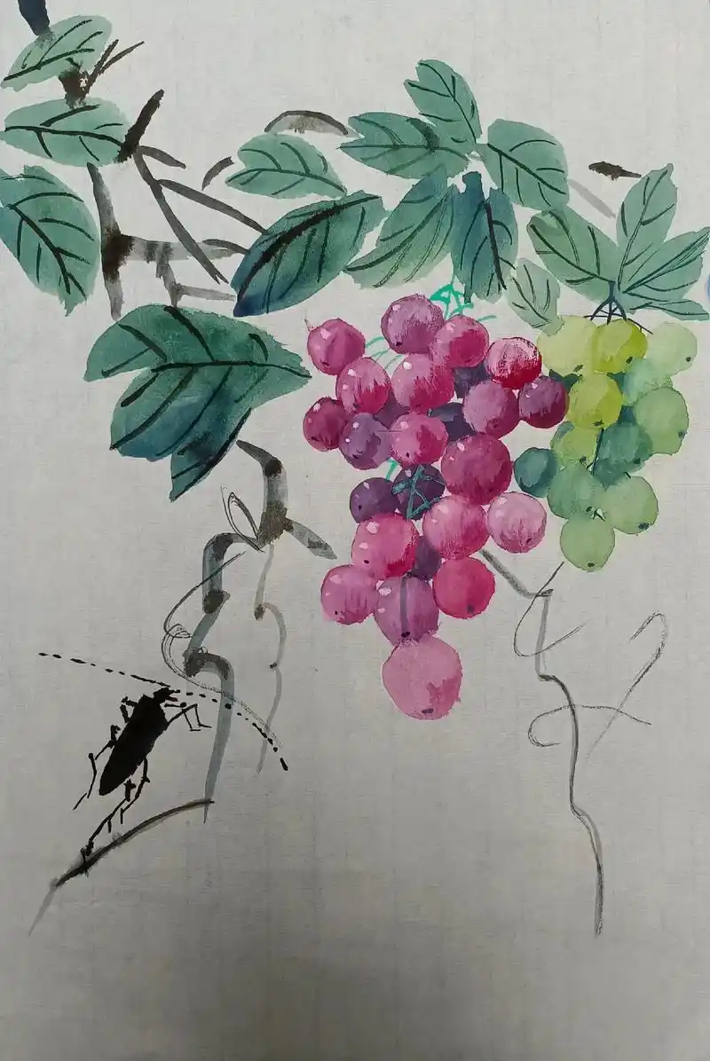 学习国画第二天最爱吃的葡萄