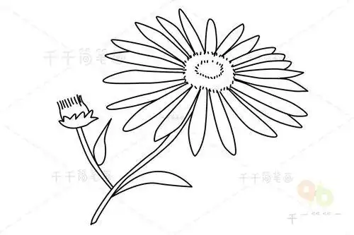 空心花插图简笔画