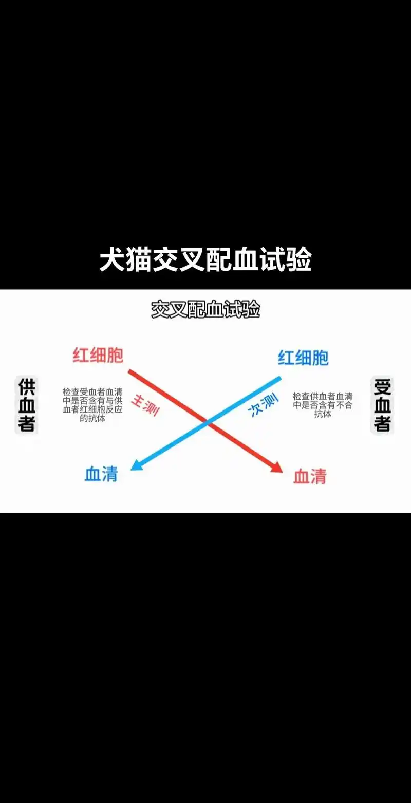 犬猫交叉配血试验 操作步骤.交叉配血是为了测定输血的相容性