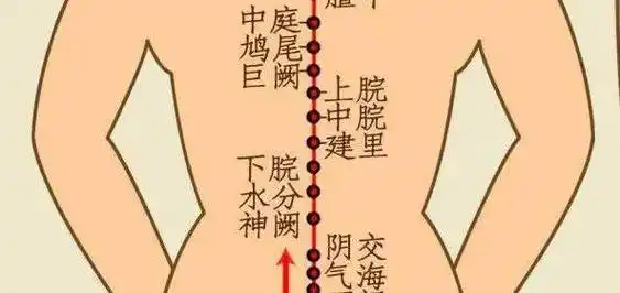 北平说 | 小肚脐,大作用——脐灸疗法健脾胃_疾病_孩子_脐部