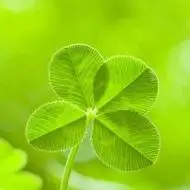 最火吉利好运微信头像_给女人带来好运的头像图片大全2019 - 潮人个性