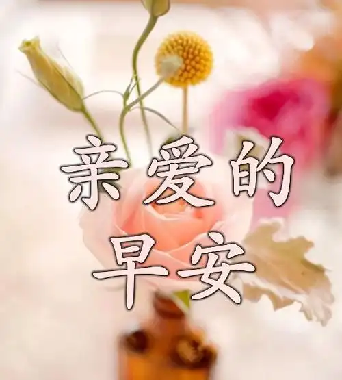 早安!愿以后的你:穿自己喜欢的衣服,和不累的人相处.