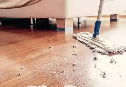 灰尘来自什么地方优质