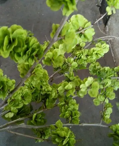 大自然是最美的画,我的故乡秀山村. - 美篇