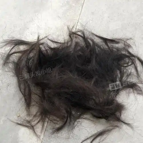 一直想自己剪头发感觉去理发店剪头发太浪费钱了到山里来了让小伙伴给