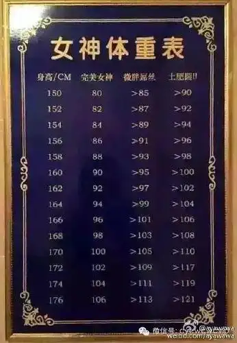 女神体重表