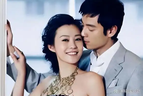 郝蕾与刘烨两婚两离,独自养育双胞胎儿子,现如今生活状况怎样?