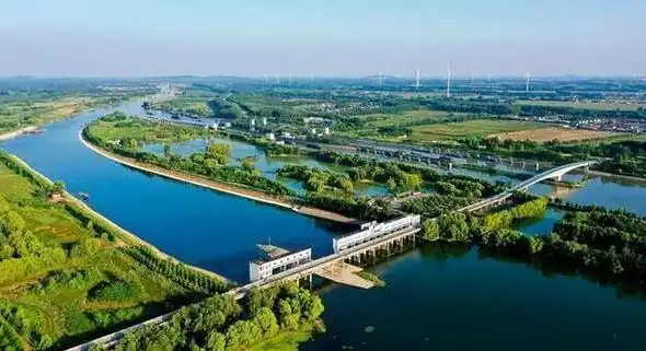 闪电评论丨逐绿前行讲好人与自然和谐共处的山东故事