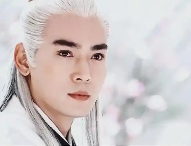 提名好看的男明星剧中白发造型