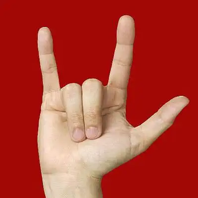 一个女的对着一个男的做这个手势 是不是代表情侣间的我爱你