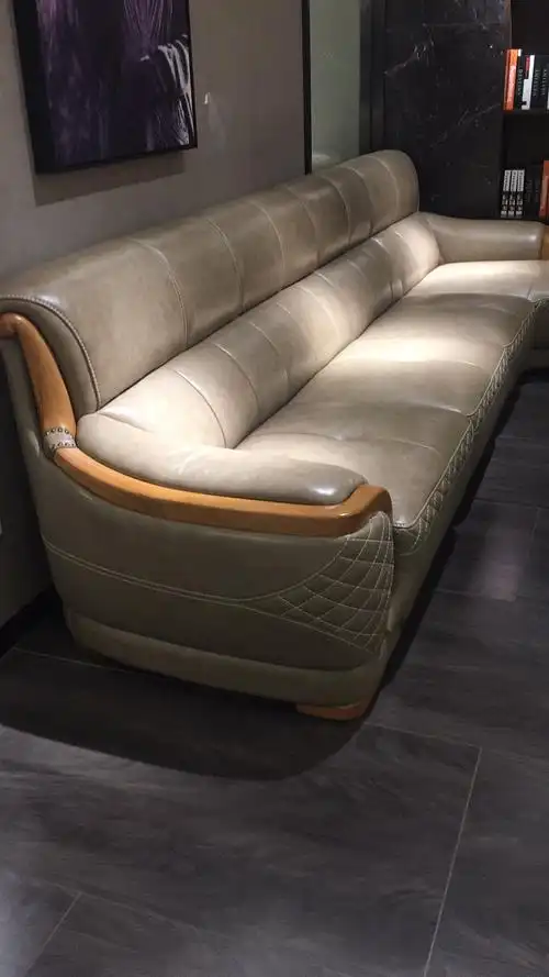 比较时尚的一款牛皮沙发