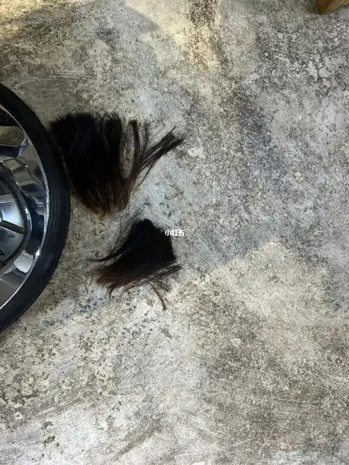 剪掉的头发就成了地上的灰尘