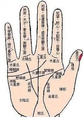 手相算命图解-怎样的手相有福气-什么样的手相是富贵命-指迷算命