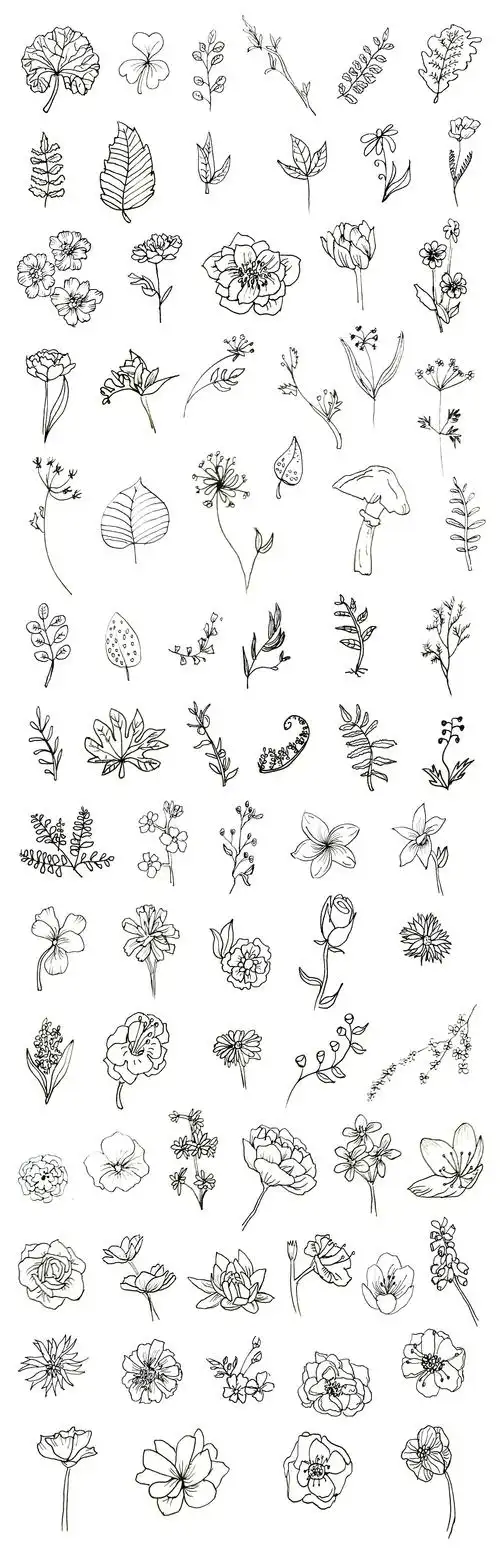 花卉简笔画 - 原创作品 - 站酷(zcool)