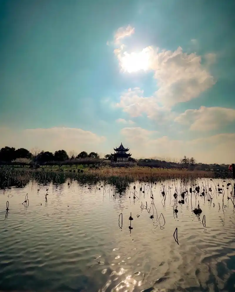 上海海湾国家森林公园位于上海市奉贤区 - 抖音