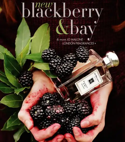 【京东超市】祖玛珑(jomalone)黑莓与月桂叶古龙淡香水30ml(淡香水)