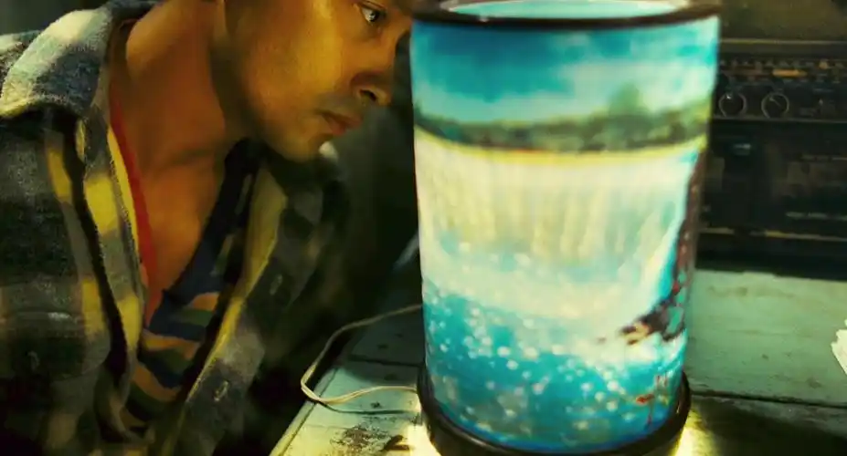 p>《春光乍泄》是由 a href="#" data-lemmaid="373607">王家卫 /a>