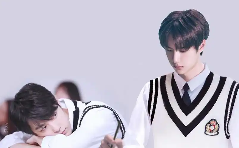 性格:外冷内热,所有的温柔只给肖战 肖战:男,21岁,逆天颜值的校草