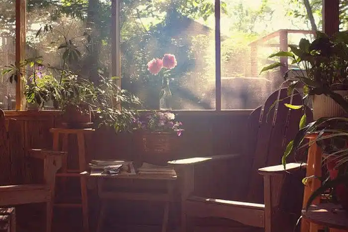 阳光静寂意境图片安静舒适的一天