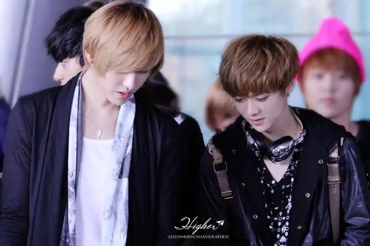 牛鹿…_来自pph1218的图片分享-堆糖