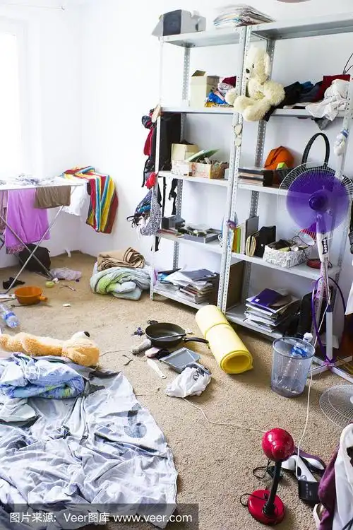 住宅房间,凌乱,混沌,卧室,公寓