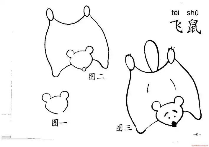 简笔画《飞鼠》画法