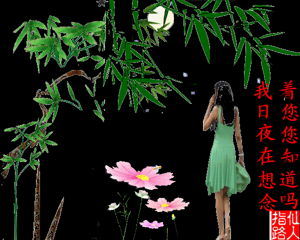 空留下,伊人月下伴孤影,谁与共晚风?有没有一双手,握住就不轻易放开.