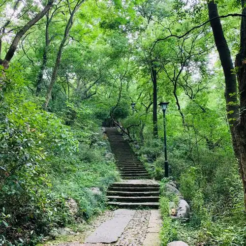 杭州61玉皇山风景区