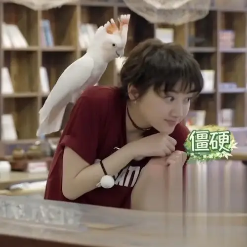 司藤不更新的日子,我去看了青春旅社里的景甜