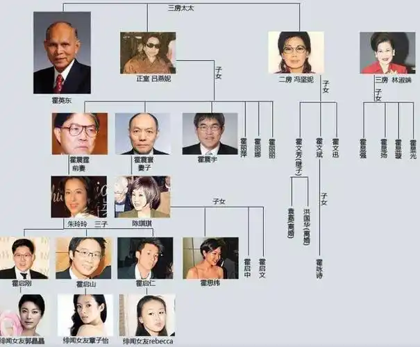 嫡长孙霍启刚的地位又怎样?