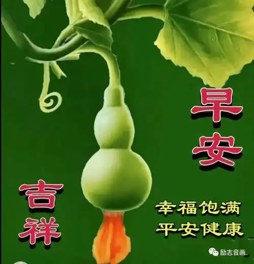 早上好表情包大全在问候中报个平安在牵挂中照顾好自己