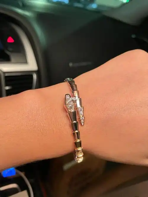 宝格丽蛇头蛇尾带钻手镯78