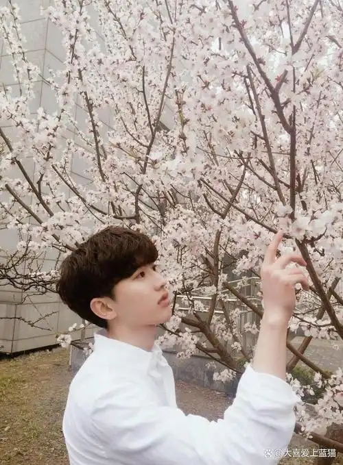 ikun们在蔡徐坤心中的位置发生变化!不再只是粉丝,而是家人