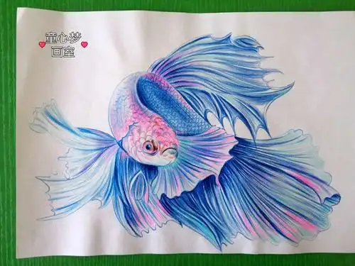 童心梦画室老师绘画作品 - 美篇