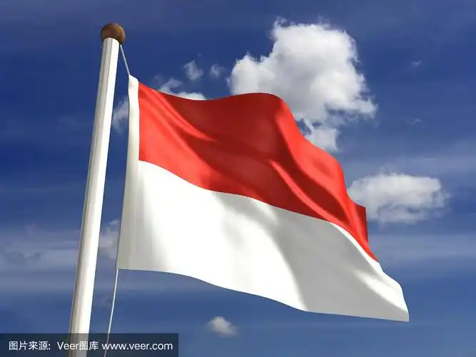 摩纳哥国旗(带夹道)