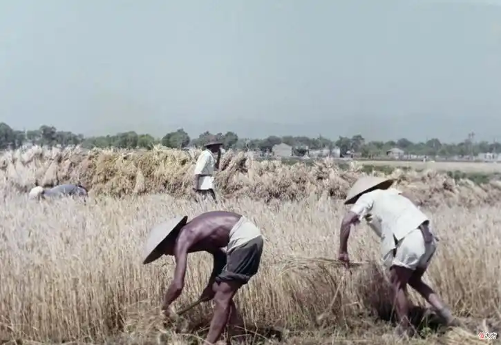 60年代的中国老照片 60年代的中国老照片(6)