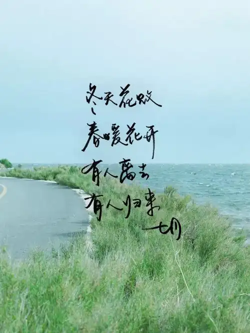 手写 明信片 高清 暖心语录 练字 书法 唯美 意境 文艺 文字 句子