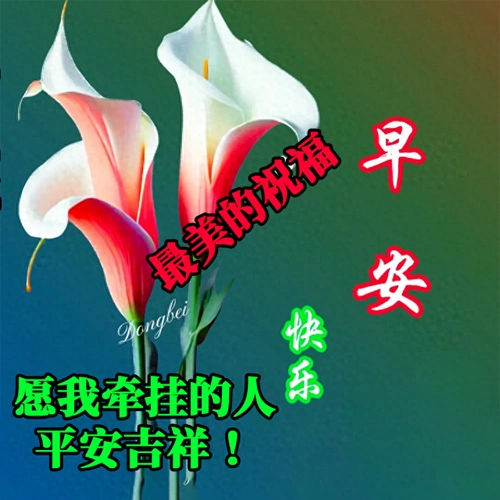 唯美早上好问候祝福语,最美早安图片祝福问候语送给您!