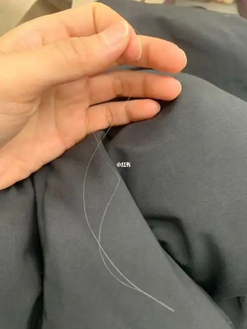 我的一根白头发