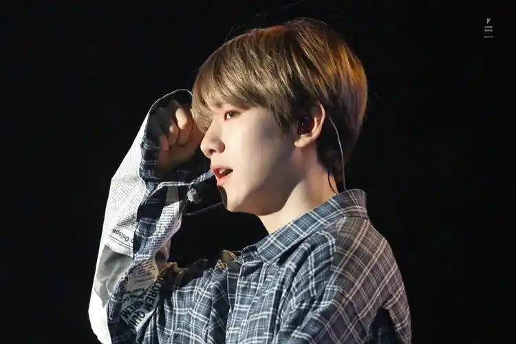 伯贤- 堆糖,美图壁纸兴趣社区