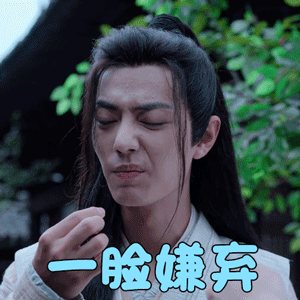 陈情令肖战魏无羡一脸嫌弃拒绝gif动图_动态图_表情包下载_soogif