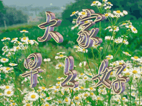 早上好动态图精美早上好动态图片