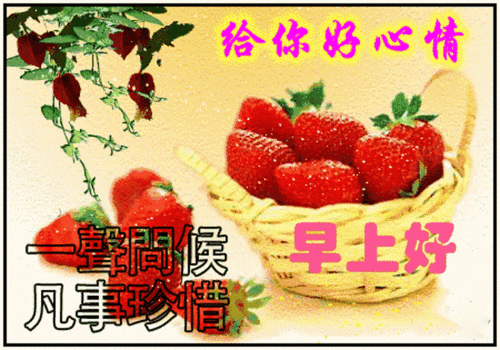 人生最难做到的是只问耕耘不问收获早安