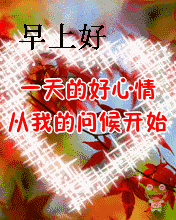 可爱表情包动态微信早晨好问候可爱图片合集