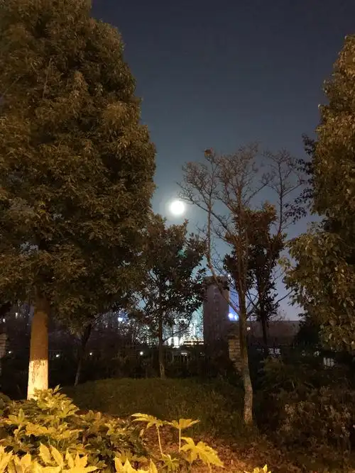 观山湖月夜我和月亮的约会(手机随手拍为确保真实记录故不作任何修图)